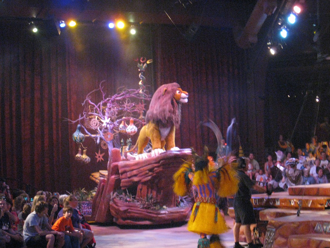 Vacation 2007-12 - Disney Parks  0841.jpg - The 2007-08 vacation to Florida included Disney World. We visited some of the larger theme Resorts along with Animal Kingdom and Disney Hollywood Studios.